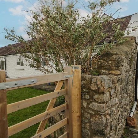 Primrose Cottage Tenby Exterior photo